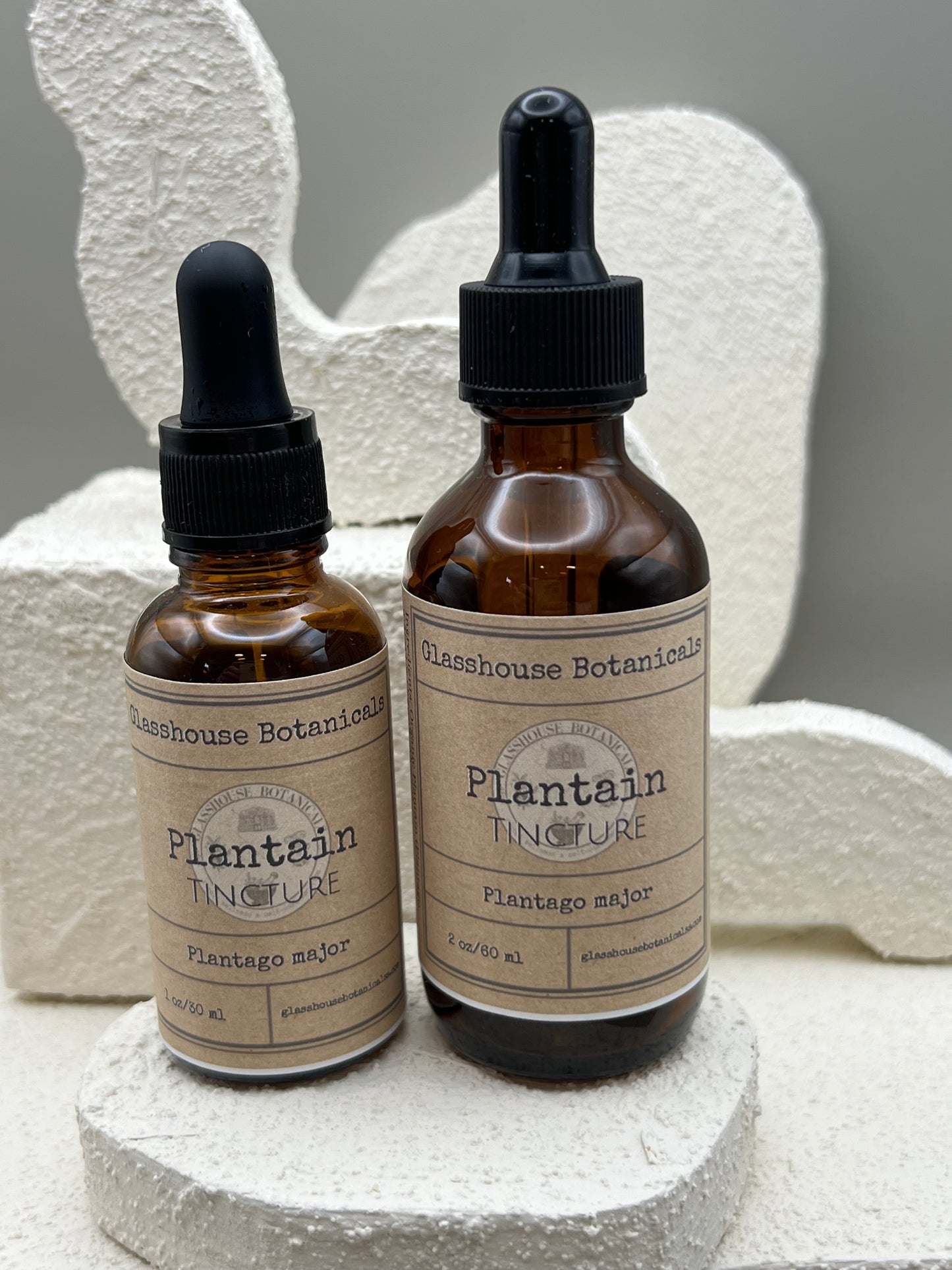 Plantain Tincture