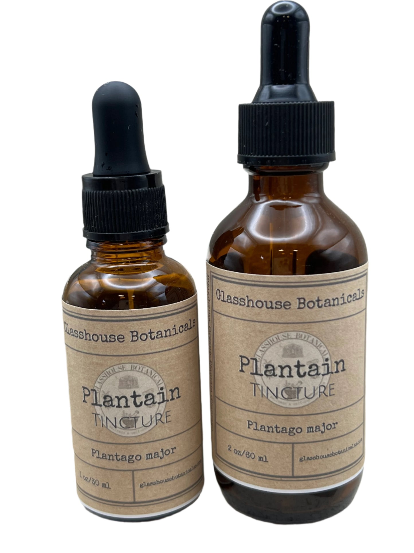 Plantain Tincture