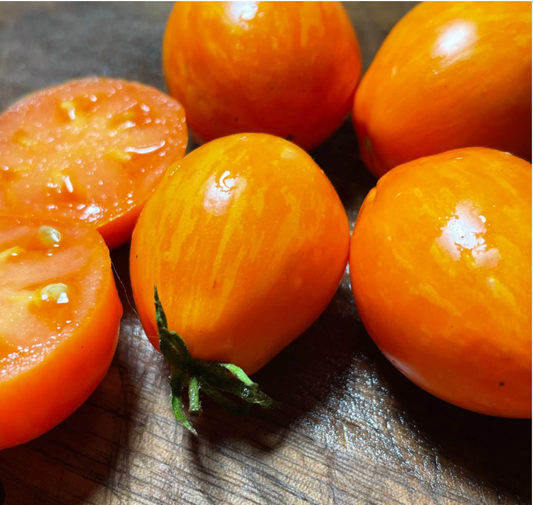 Apricot Zebra Tomato Plant