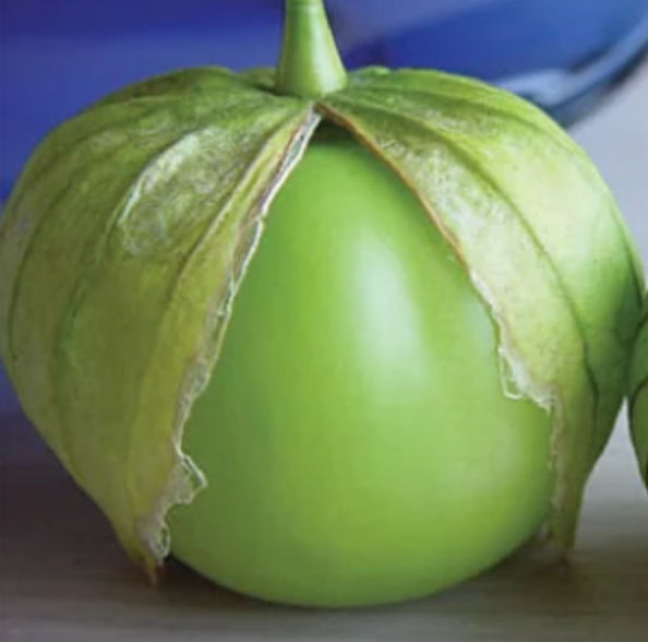 Tomatillo Plant
