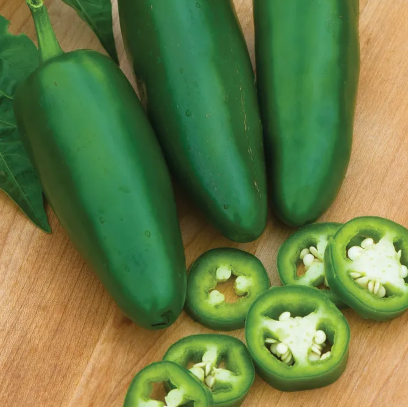 Jalapeno Pepper Plant