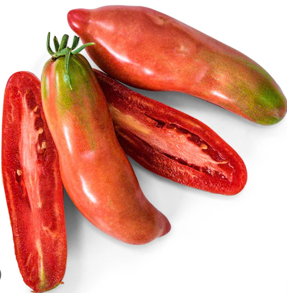Pink Fang Tomato Plant