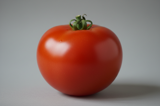Bonny Best Tomato Plant